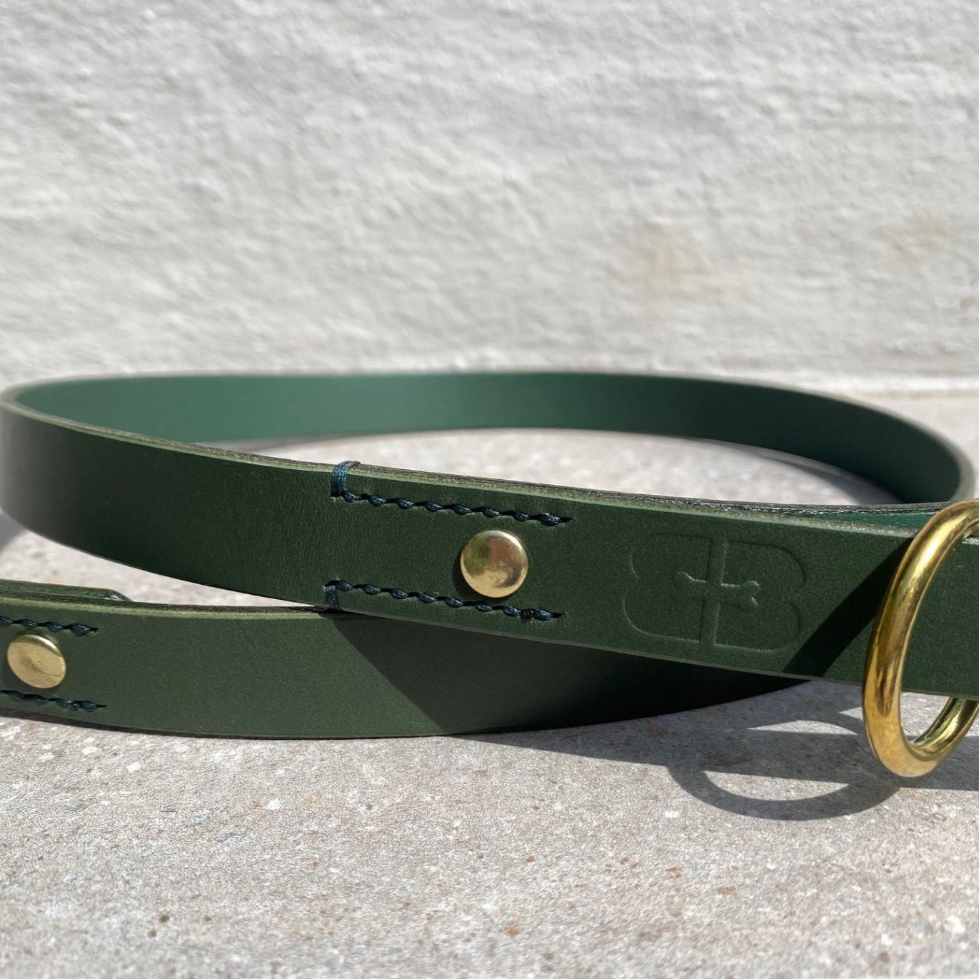 Close up of green leather dog lead with brass ring on a gray surface