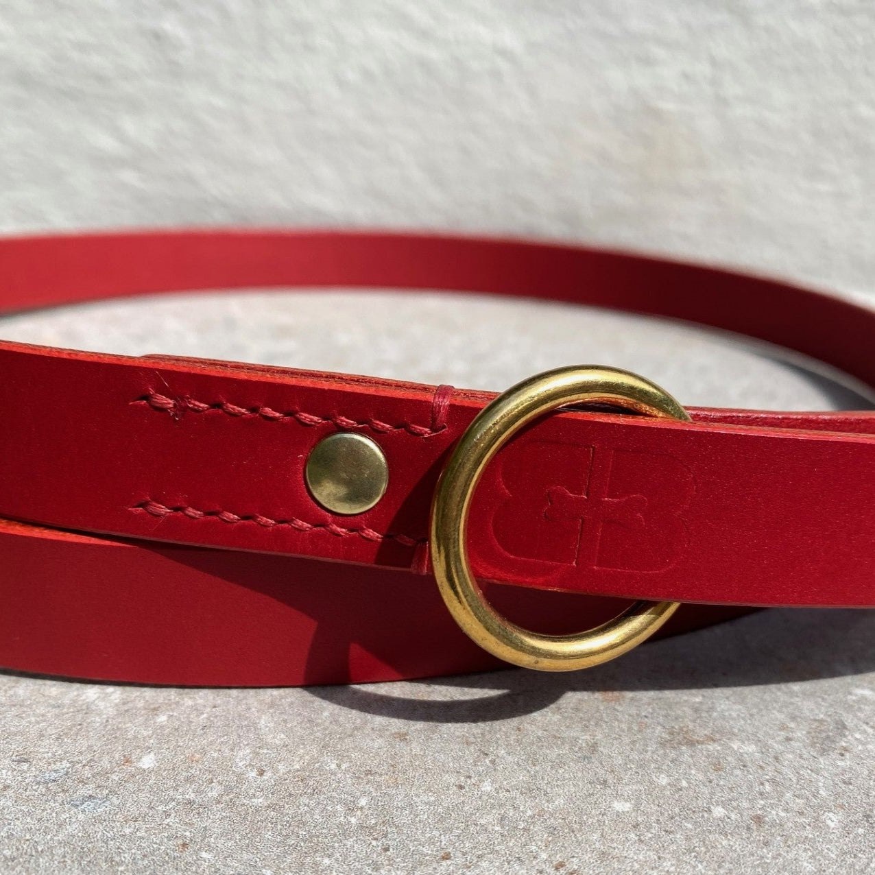 Red lead with a brass ring on a light gray surface