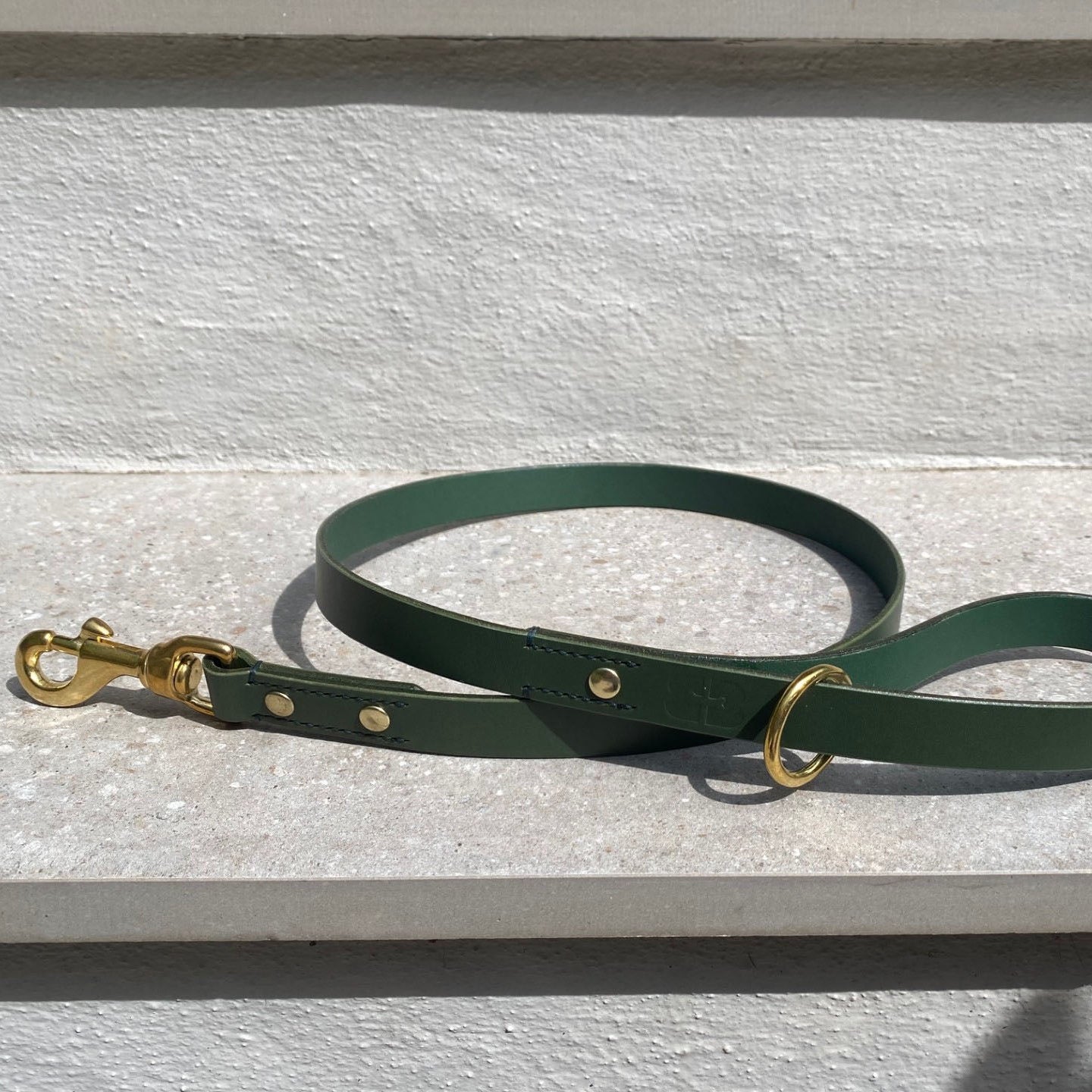 Dog Lead