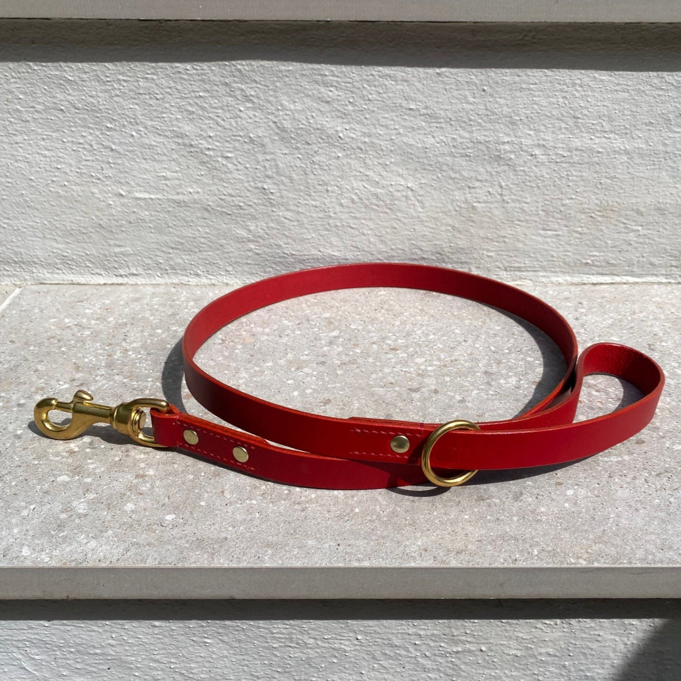 Red dog leash with gold hardware on a light stone surface