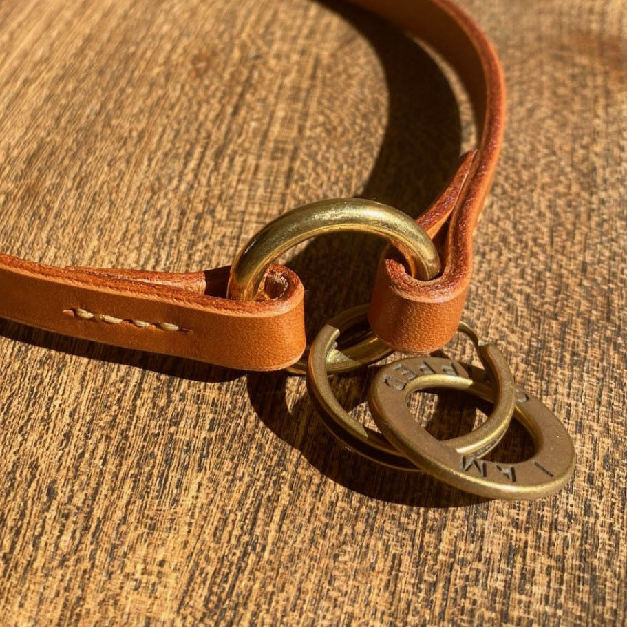 Close up of a tan leather ID collar with ID tag on a wooden surface