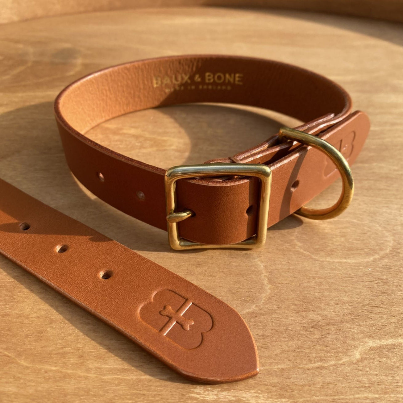 Dog Collar