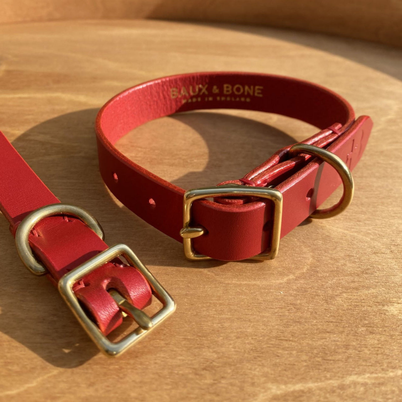 Dog Collar
