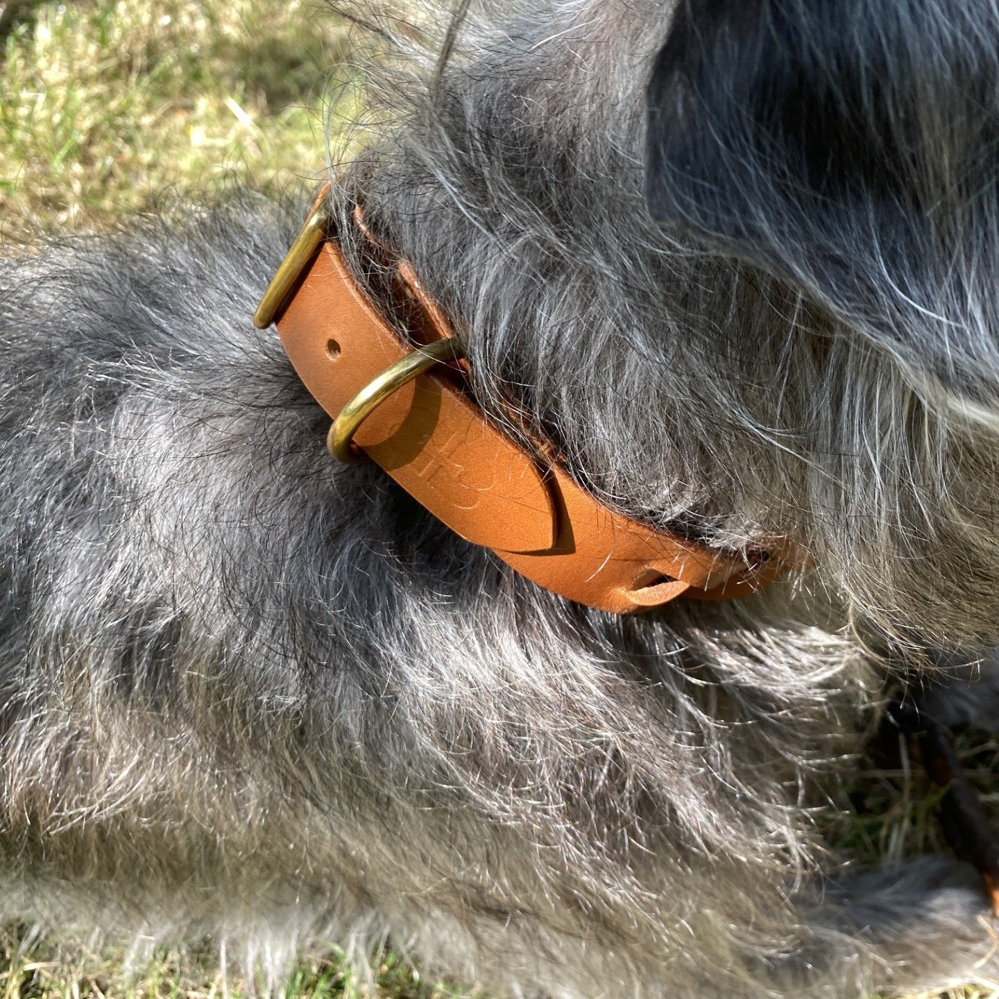 Plaited Dog Collar